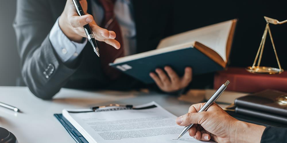 Litigation Section